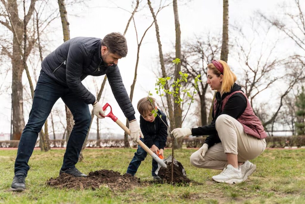 Tree Planting