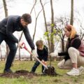 Tree Planting