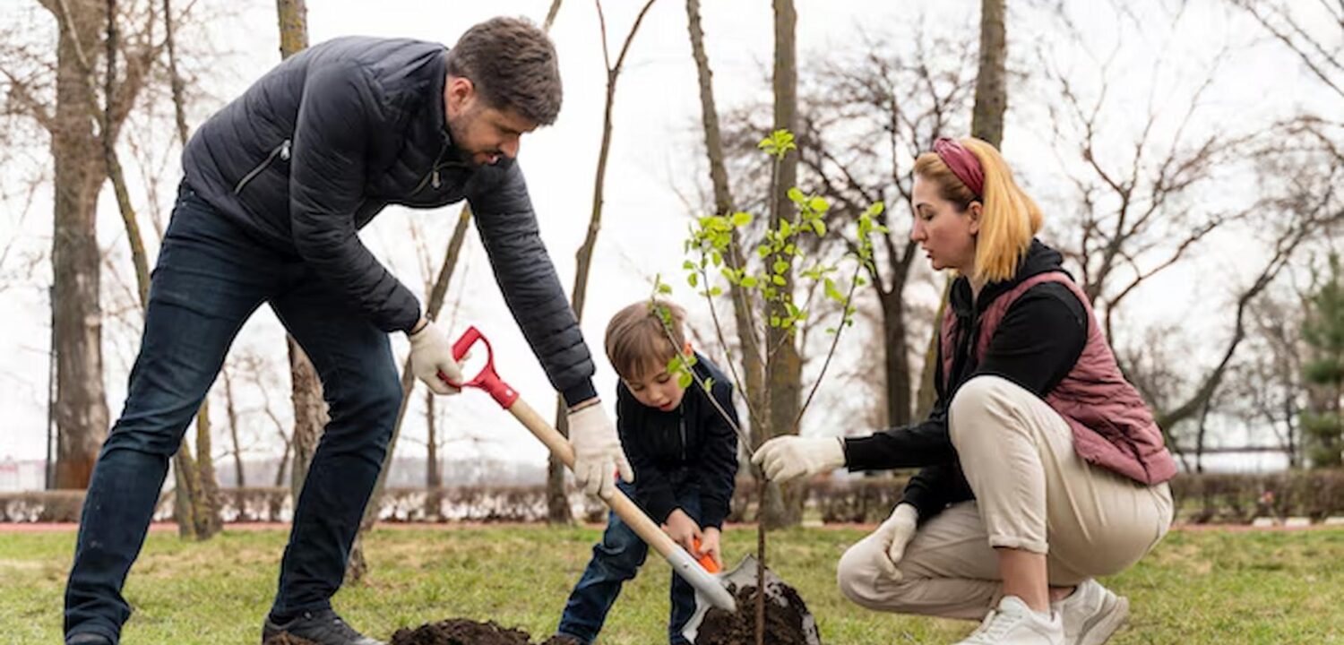 Tree Planting